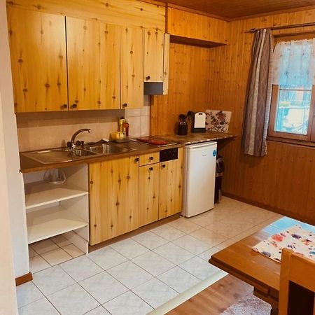 Guenstig Und Einfaches Studio Auf Dem Bauernhof Zuoz Extérieur photo